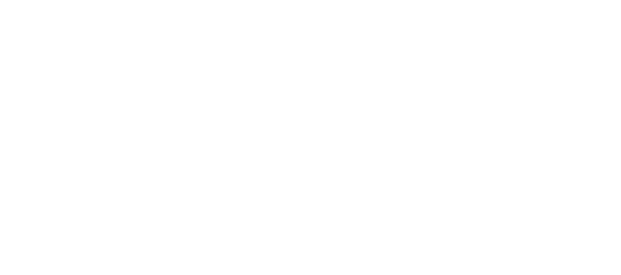 BSI Bandas y Servicios Industriales